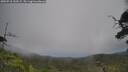 ./images/calvert/fitz-hugh-hecate/20250718/fitz-hugh-hecate20250718_133508M.jpg