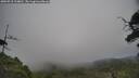 ./images/calvert/fitz-hugh-hecate/20250718/fitz-hugh-hecate20250718_134010M.jpg