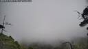 ./images/calvert/fitz-hugh-hecate/20250718/fitz-hugh-hecate20250718_135508M.jpg