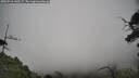 ./images/calvert/fitz-hugh-hecate/20250718/fitz-hugh-hecate20250718_140507M.jpg