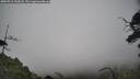 ./images/calvert/fitz-hugh-hecate/20250718/fitz-hugh-hecate20250718_142008M.jpg