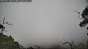 ./images/calvert/fitz-hugh-hecate/20250718/fitz-hugh-hecate20250718_142507M.jpg