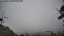 ./images/calvert/fitz-hugh-hecate/20250718/fitz-hugh-hecate20250718_144010M.jpg