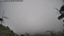 ./images/calvert/fitz-hugh-hecate/20250718/fitz-hugh-hecate20250718_145510M.jpg