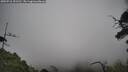 ./images/calvert/fitz-hugh-hecate/20250718/fitz-hugh-hecate20250718_151511M.jpg