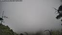 ./images/calvert/fitz-hugh-hecate/20250718/fitz-hugh-hecate20250718_152510M.jpg