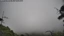 ./images/calvert/fitz-hugh-hecate/20250718/fitz-hugh-hecate20250718_153510M.jpg