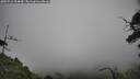 ./images/calvert/fitz-hugh-hecate/20250718/fitz-hugh-hecate20250718_154010M.jpg