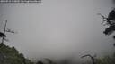 ./images/calvert/fitz-hugh-hecate/20250718/fitz-hugh-hecate20250718_155010M.jpg