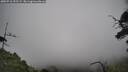 ./images/calvert/fitz-hugh-hecate/20250718/fitz-hugh-hecate20250718_155509M.jpg