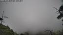 ./images/calvert/fitz-hugh-hecate/20250718/fitz-hugh-hecate20250718_160509M.jpg