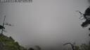 ./images/calvert/fitz-hugh-hecate/20250718/fitz-hugh-hecate20250718_161010M.jpg