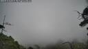 ./images/calvert/fitz-hugh-hecate/20250718/fitz-hugh-hecate20250718_162509M.jpg