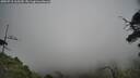 ./images/calvert/fitz-hugh-hecate/20250718/fitz-hugh-hecate20250718_165510M.jpg