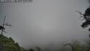 ./images/calvert/fitz-hugh-hecate/20250718/fitz-hugh-hecate20250718_170012M.jpg