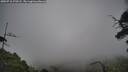 ./images/calvert/fitz-hugh-hecate/20250718/fitz-hugh-hecate20250718_170505M.jpg
