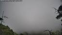 ./images/calvert/fitz-hugh-hecate/20250718/fitz-hugh-hecate20250718_171008M.jpg