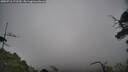 ./images/calvert/fitz-hugh-hecate/20250718/fitz-hugh-hecate20250718_172509M.jpg