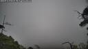 ./images/calvert/fitz-hugh-hecate/20250718/fitz-hugh-hecate20250718_173508M.jpg