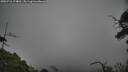 ./images/calvert/fitz-hugh-hecate/20250718/fitz-hugh-hecate20250718_174010M.jpg