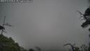 ./images/calvert/fitz-hugh-hecate/20250718/fitz-hugh-hecate20250718_174508M.jpg