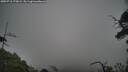 ./images/calvert/fitz-hugh-hecate/20250718/fitz-hugh-hecate20250718_175009M.jpg