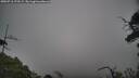 ./images/calvert/fitz-hugh-hecate/20250718/fitz-hugh-hecate20250718_175509M.jpg