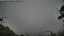 ./images/calvert/fitz-hugh-hecate/20250718/fitz-hugh-hecate20250718_183510M.jpg
