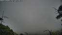 ./images/calvert/fitz-hugh-hecate/20250718/fitz-hugh-hecate20250718_184510M.jpg