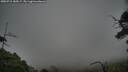./images/calvert/fitz-hugh-hecate/20250718/fitz-hugh-hecate20250718_185007M.jpg