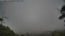 ./images/calvert/fitz-hugh-hecate/20250718/fitz-hugh-hecate20250718_185510M.jpg