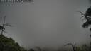 ./images/calvert/fitz-hugh-hecate/20250718/fitz-hugh-hecate20250718_190009M.jpg