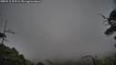 ./images/calvert/fitz-hugh-hecate/20250718/fitz-hugh-hecate20250718_191009M.jpg