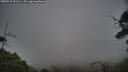 ./images/calvert/fitz-hugh-hecate/20250718/fitz-hugh-hecate20250718_191509M.jpg