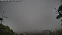 ./images/calvert/fitz-hugh-hecate/20250718/fitz-hugh-hecate20250718_192009M.jpg