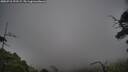./images/calvert/fitz-hugh-hecate/20250718/fitz-hugh-hecate20250718_192507M.jpg