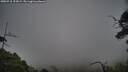 ./images/calvert/fitz-hugh-hecate/20250718/fitz-hugh-hecate20250718_193009M.jpg