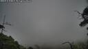 ./images/calvert/fitz-hugh-hecate/20250718/fitz-hugh-hecate20250718_194009M.jpg