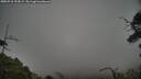 ./images/calvert/fitz-hugh-hecate/20250718/fitz-hugh-hecate20250718_194508M.jpg
