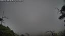 ./images/calvert/fitz-hugh-hecate/20250718/fitz-hugh-hecate20250718_195010M.jpg