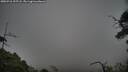 ./images/calvert/fitz-hugh-hecate/20250718/fitz-hugh-hecate20250718_195508M.jpg