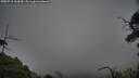 ./images/calvert/fitz-hugh-hecate/20250718/fitz-hugh-hecate20250718_200009M.jpg