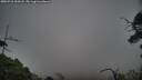 ./images/calvert/fitz-hugh-hecate/20250718/fitz-hugh-hecate20250718_200508M.jpg
