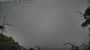 ./images/calvert/fitz-hugh-hecate/20250718/fitz-hugh-hecate20250718_201007M.jpg