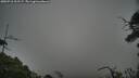 ./images/calvert/fitz-hugh-hecate/20250718/fitz-hugh-hecate20250718_202507M.jpg