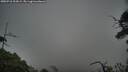 ./images/calvert/fitz-hugh-hecate/20250718/fitz-hugh-hecate20250718_203009M.jpg