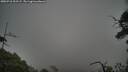 ./images/calvert/fitz-hugh-hecate/20250718/fitz-hugh-hecate20250718_203504M.jpg