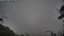 ./images/calvert/fitz-hugh-hecate/20250718/fitz-hugh-hecate20250718_204009M.jpg