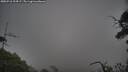./images/calvert/fitz-hugh-hecate/20250718/fitz-hugh-hecate20250718_204507M.jpg