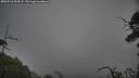 ./images/calvert/fitz-hugh-hecate/20250718/fitz-hugh-hecate20250718_205009M.jpg